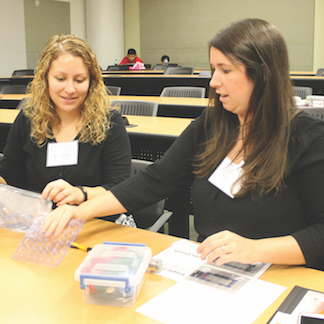 Georgia Intern-Fellowships for Teachers (GIFT) program - developing K-12 educational materials